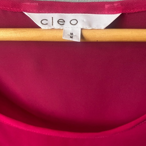 Cleo Pink Blouse - Picture 3 of 7